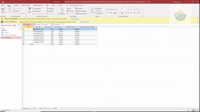 Excel VBA im Zusammenspiel mit Access Datenbanken – Screenshot 2