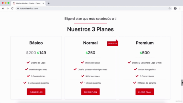 Crear una Página Web En 2023 - Con WordPress Y Elementor – Screenshot 3
