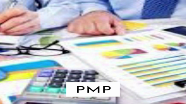 PMI-PMP (Review + Exams) - Week Before Exam – Screenshot 4
