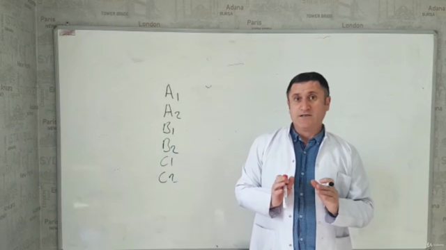 Turkish Language – Screenshot 2