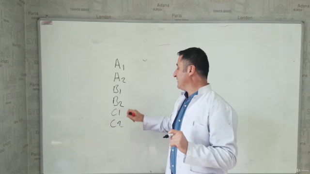 Turkish Language – Screenshot 3