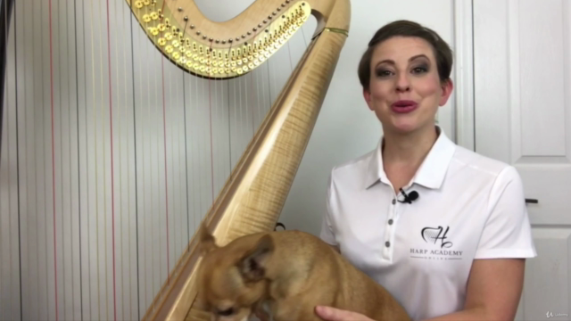 Harp Lessons 3.0 – Screenshot 1