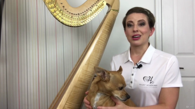 Harp Lessons 3.0 – Screenshot 2