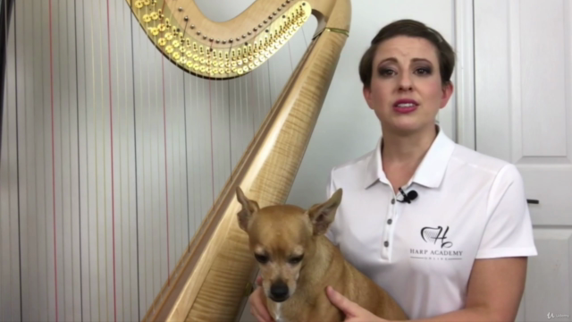 Harp Lessons 3.0 – Screenshot 3