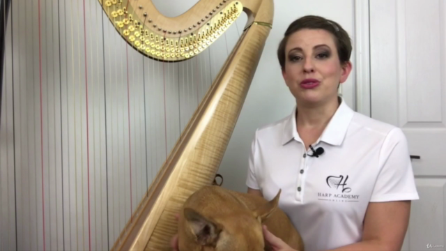 Harp Lessons 3.0 – Screenshot 4