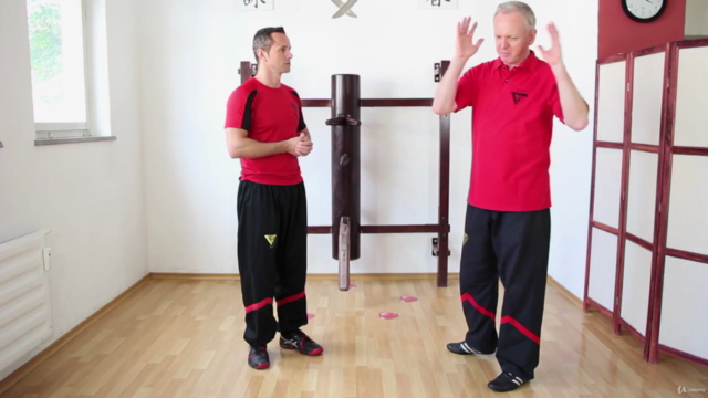WT-Theorie von Sifu Niko – Screenshot 1