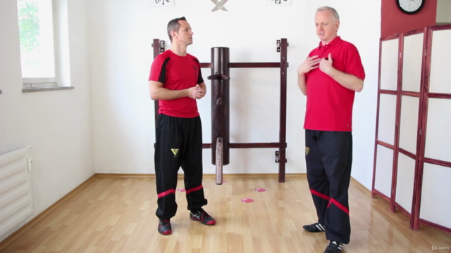 WT-Theorie von Sifu Niko – Screenshot 2