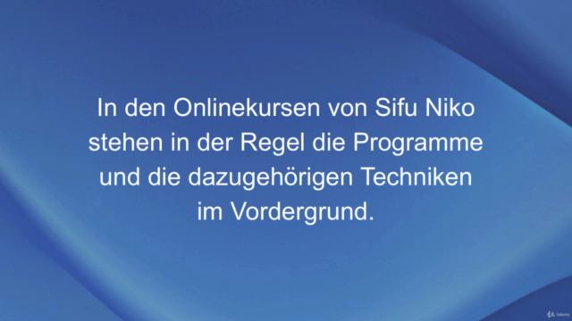 WT-Theorie von Sifu Niko – Screenshot 3