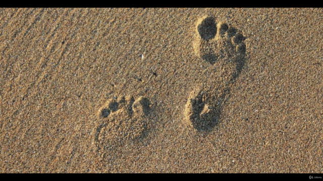 First steps in Reflexology – Screenshot 2