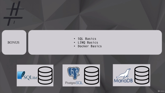 Entity Framework core: SQL Data Access with C# & .Net – Screenshot 4