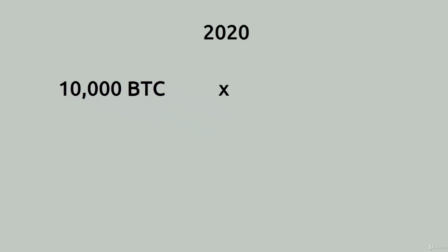 The Simple Bitcoin Course 2021 – Screenshot 2
