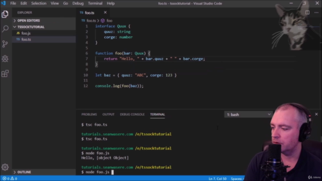 TypeScript for Absolute Beginners – Screenshot 3