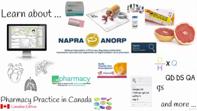 Pharmacy Practice in Canada – Screenshot 4