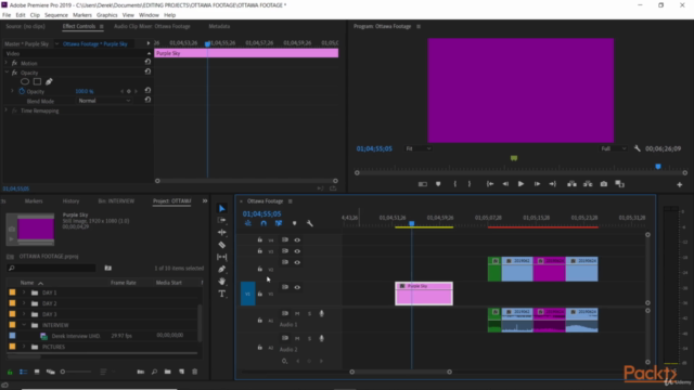 Mastering Adobe Premiere Pro CC 2020 - Screenshot_02