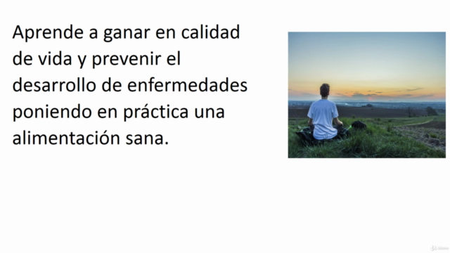 La Alimentación es Terapia Milagrosa – Screenshot 1
