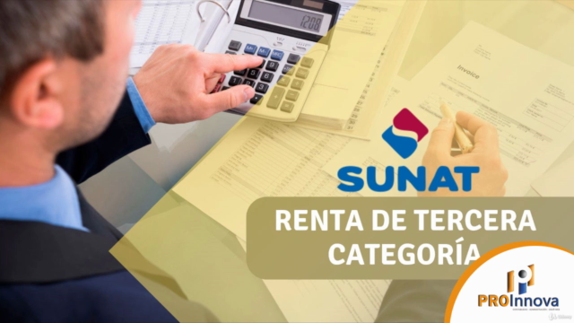ASISTENTE CONTABLE – Screenshot 2