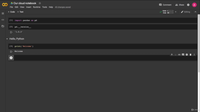The Ultimate Pandas Bootcamp: Advanced Python Data Analysis – Screenshot 4