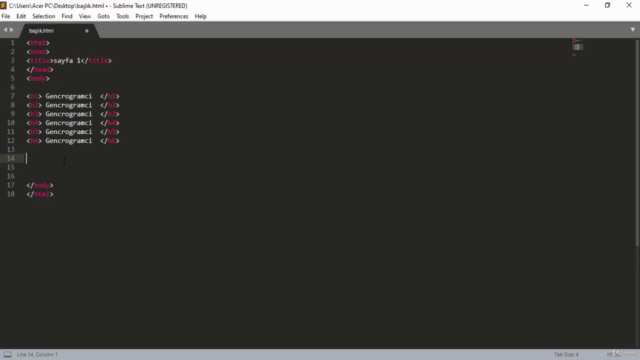 Bir Saatte HTML Öğrenmek – Screenshot 2