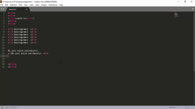 Bir Saatte HTML Öğrenmek – Screenshot 3