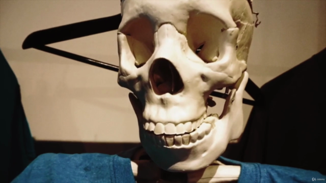 Head and Neck Neuroanatomy – Screenshot 1