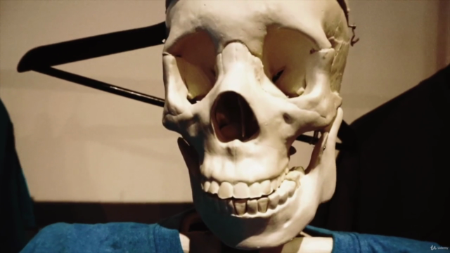 Head and Neck Neuroanatomy – Screenshot 2