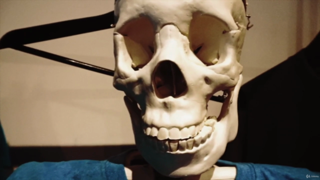Head and Neck Neuroanatomy – Screenshot 3