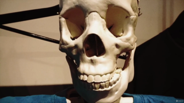 Head and Neck Neuroanatomy – Screenshot 4