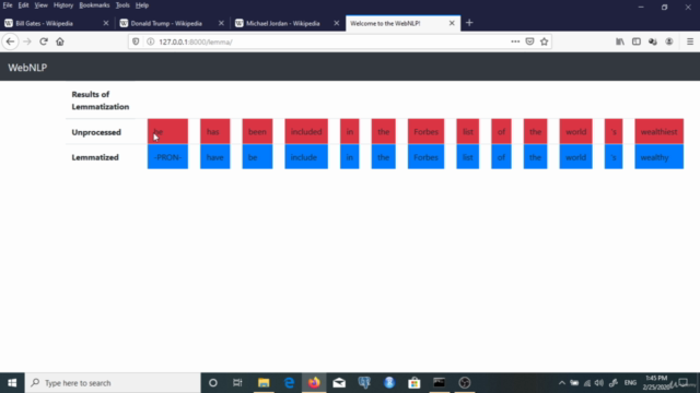 Python Django Web Development of NLP App – Screenshot 2