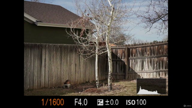 Photography Essentials: Zero to Sixty – Screenshot 1