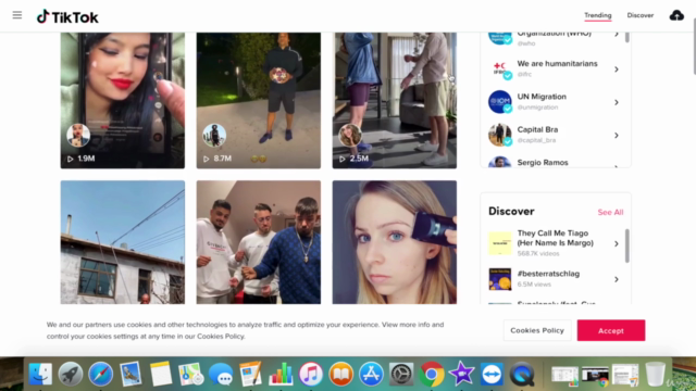 TikTok for Complete Beginners Influencers & Small Businesses – Screenshot 3