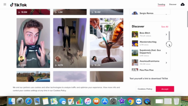 TikTok for Complete Beginners Influencers & Small Businesses – Screenshot 4