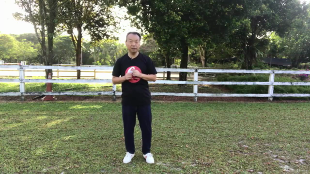 Chen Style Tai Chi Competition Routine - 56 Postures - Screenshot_02