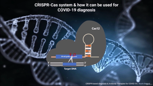 COVID-19: CRISPR based diagnosis and Antibody Therapies - Screenshot_01