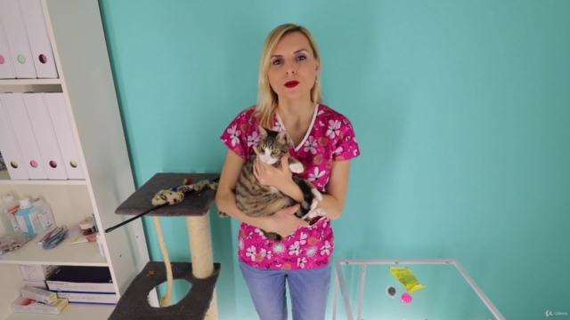 How to Keep Your Cat Healthy Masterclass – Screenshot 3