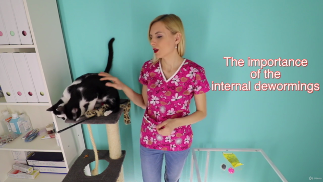 How to Keep Your Cat Healthy Masterclass – Screenshot 4
