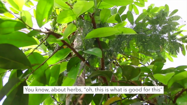 Balinese ancient knowledge about Beauty from Plants and Herb – Screenshot 2