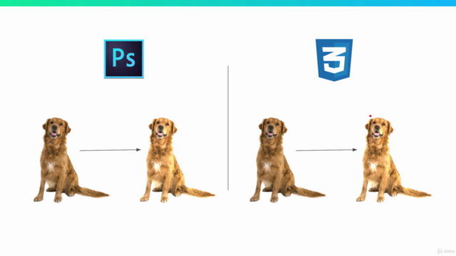 CSS Image Filters - Editing Images On The Web (2021) – Screenshot 2