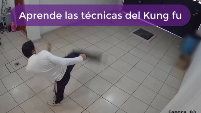 Curso intensivo de kung fu y calistenia - Screenshot_01