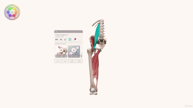 BODYWORK TECHNIQUES FOR BREATHWORK – Screenshot 3