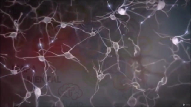 MASTER EM MAPA MENTAL TÁLAMO – Screenshot 2