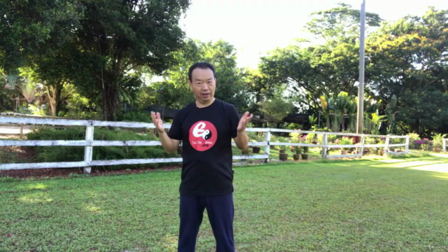Tai Chi to Strengthen Bones, Halt Bone-thinning Osteoporosis – Screenshot 2