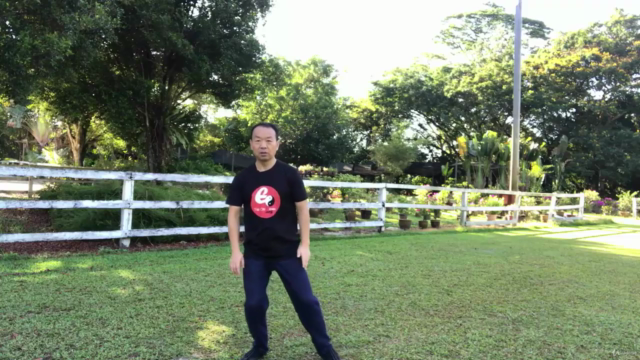 Tai Chi to Strengthen Bones, Halt Bone-thinning Osteoporosis – Screenshot 3