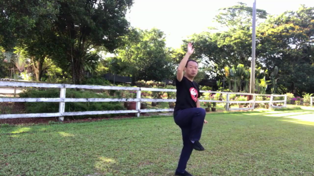 Tai Chi to Strengthen Bones, Halt Bone-thinning Osteoporosis – Screenshot 4