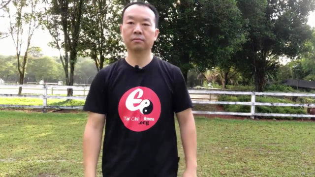 Six Healing Sounds Qi Gong with Tai Chi for Relaxation – Screenshot 1