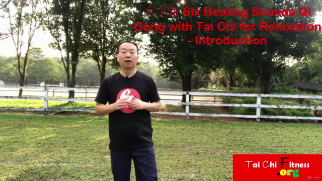 Six Healing Sounds Qi Gong with Tai Chi for Relaxation – Screenshot 2