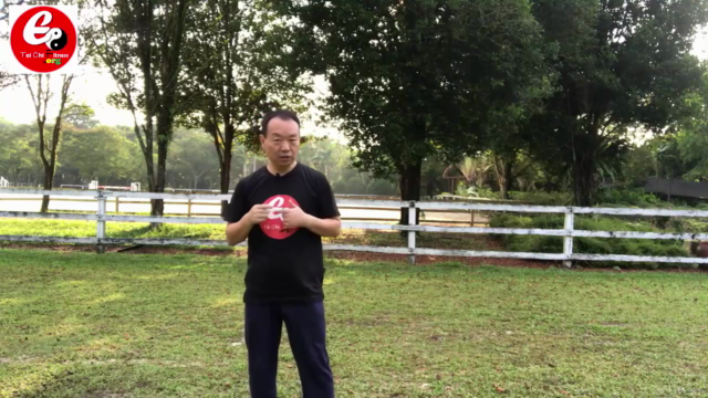 Six Healing Sounds Qi Gong with Tai Chi for Relaxation – Screenshot 4