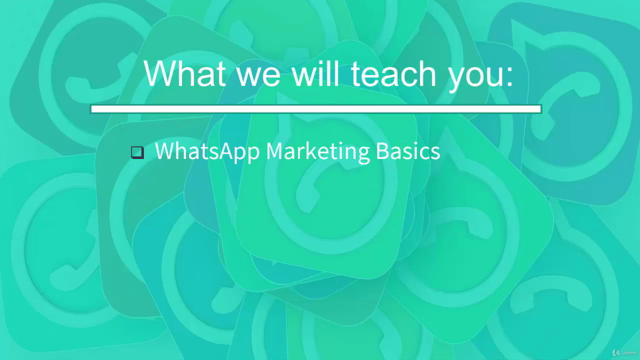 Whatsapp Marketing Hero - Grow your business using Whatsapp – Screenshot 2