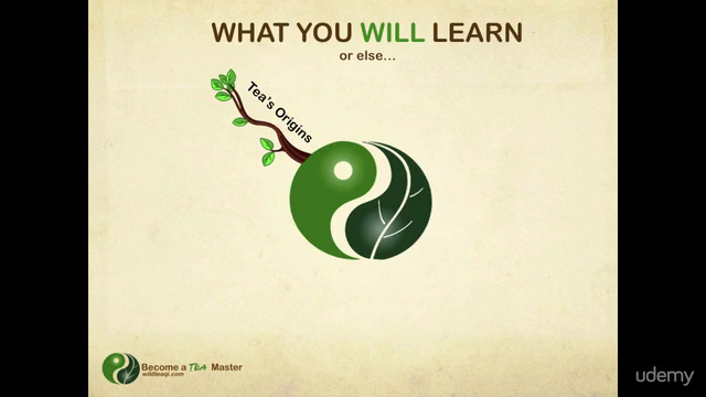 #1 ITA Certified Tea Courses - Foundations of Chinese Tea – Screenshot 2