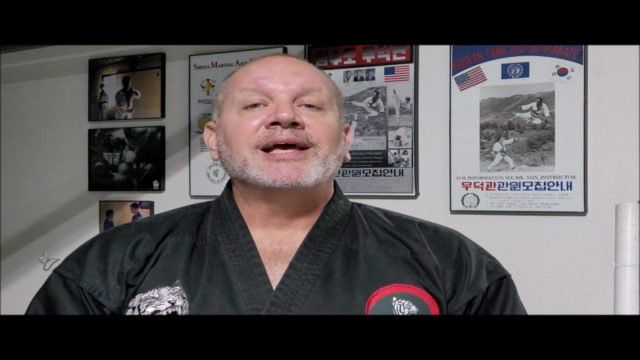 Karate - Tang Soo Do Intermediate Techniques and Forms – Screenshot 2