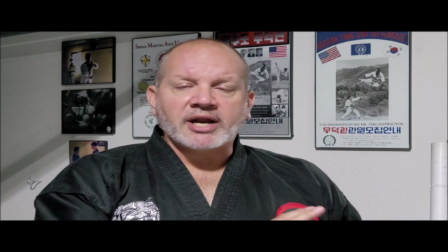 Karate - Tang Soo Do Intermediate Techniques and Forms – Screenshot 3